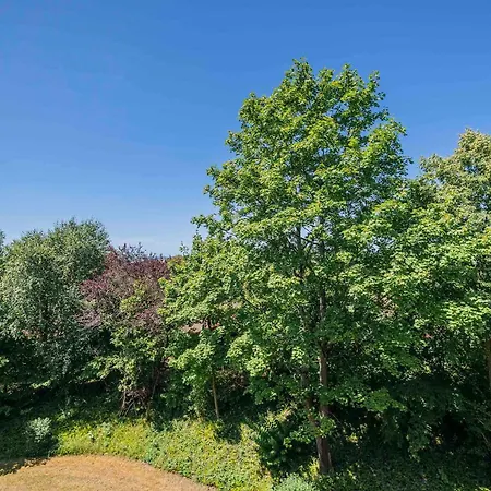 Apartment Ferienwohnpark Zwei-zimmer-apartment 49 44 Immenstaad am Bodensee